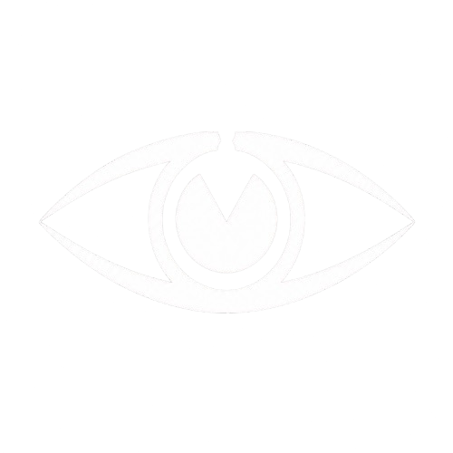 QLGM VISION